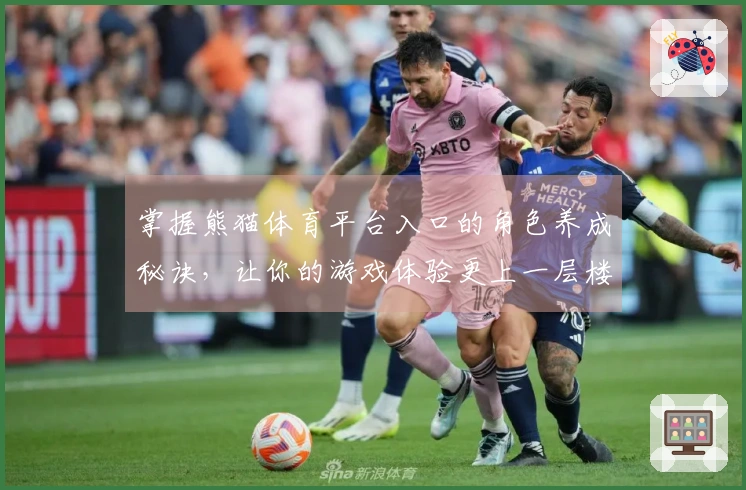 掌握熊猫体育平台入口的角色养成秘诀，让你的游戏体验更上一层楼