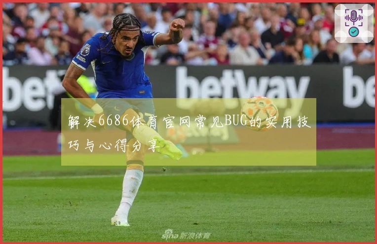 解决6686体育官网常见BUG的实用技巧与心得分享